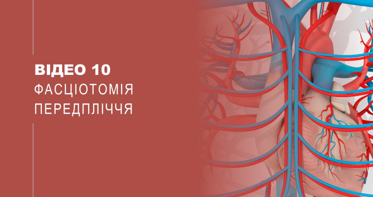 Відео 10. Фасціотомія передпліччя