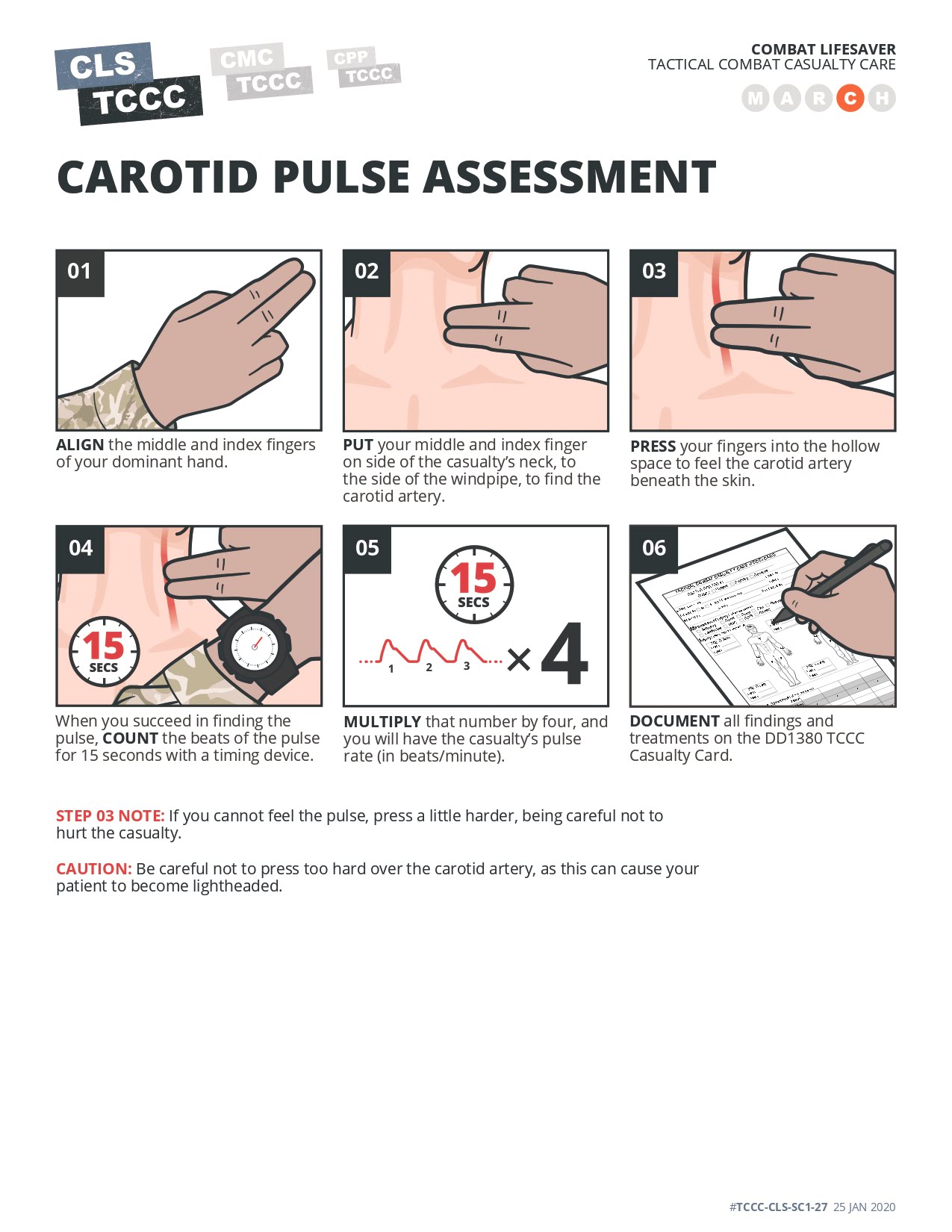 Carotid Pulse Assessment