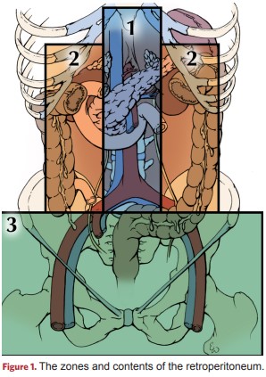 Zones and structures of the retroperitoneal space