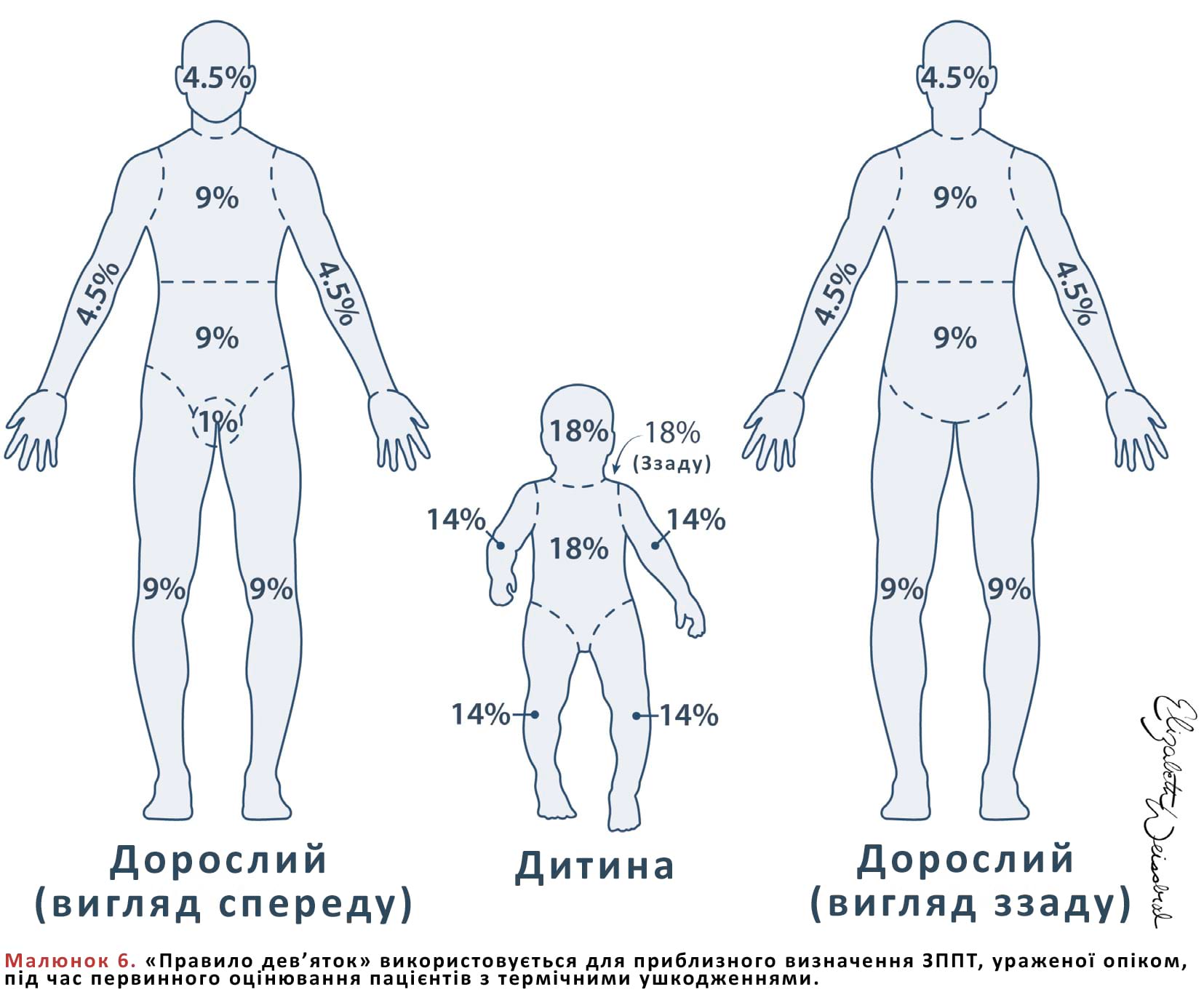 «Правило дев’яток»