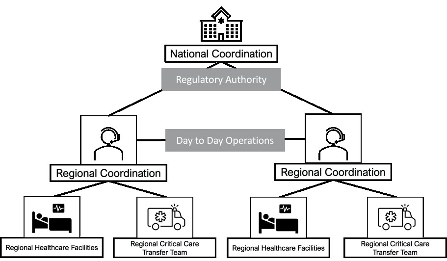 Структура координації системи транспортування пацієнтів у критичному стані