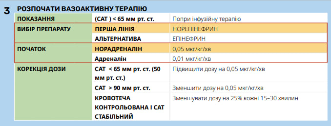 Крок 3: початок вазоактивної терапії - ССТ СОП С10