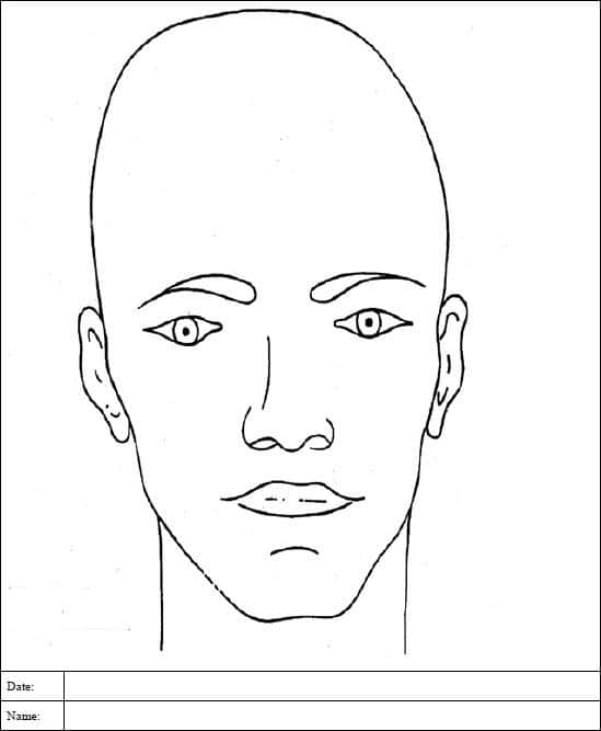 Adult Burn Diagram: Head