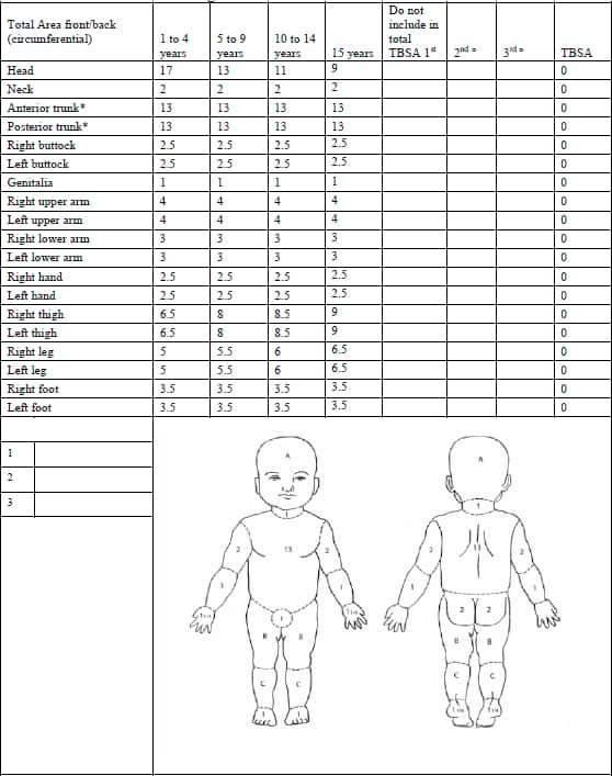 Child Burn Estimate and Diagram