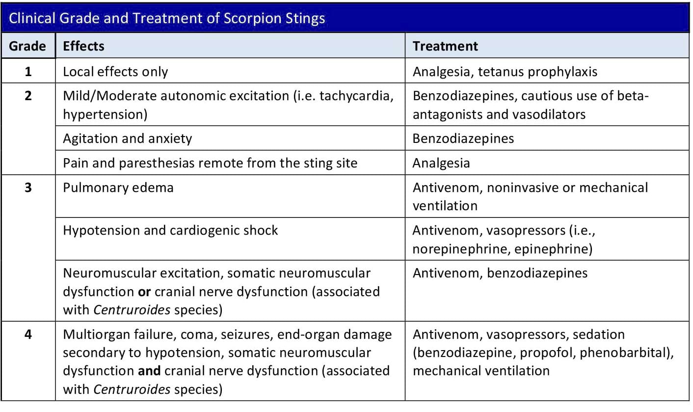 Clinical Grade and Treatment of Scorpion Stings