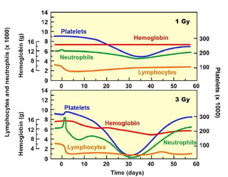 Radiation effect on complete blood