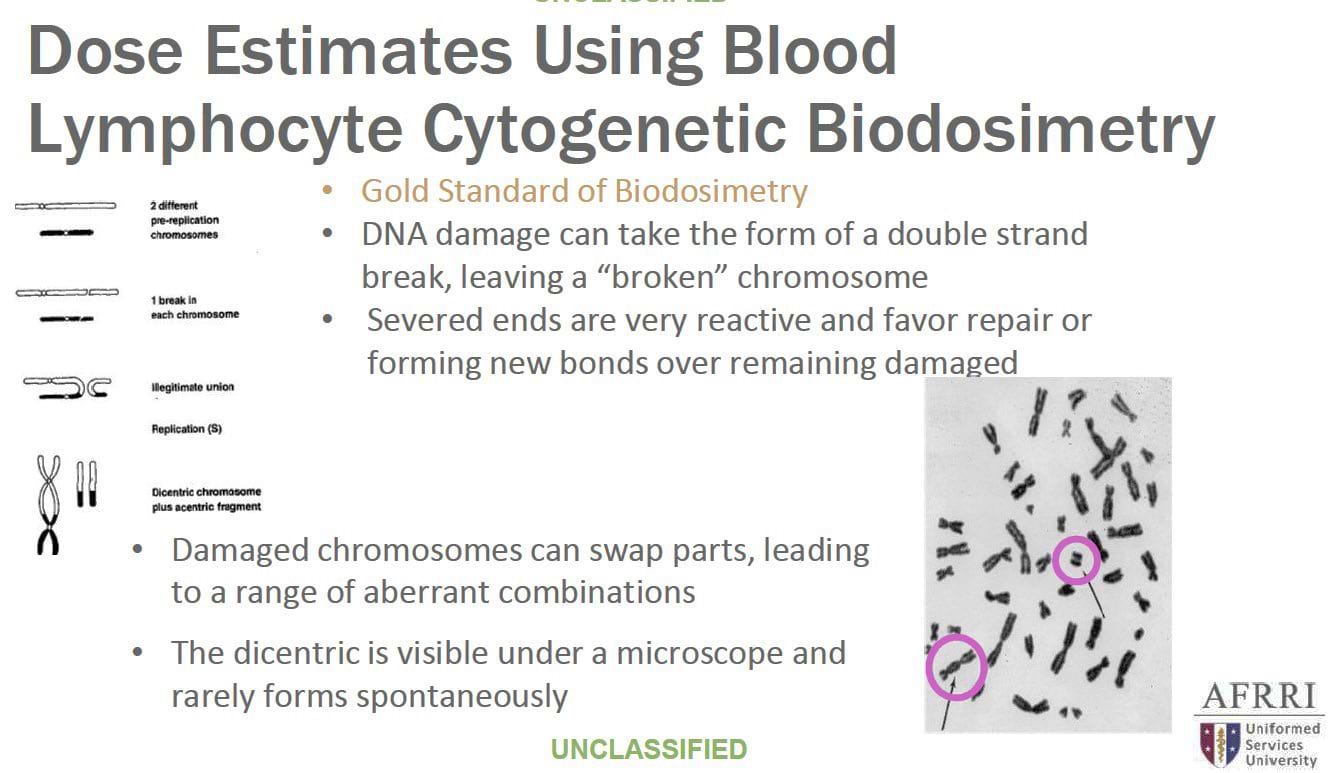 Dose estimates using blood lymphocyte cytogenetic biodosimetry