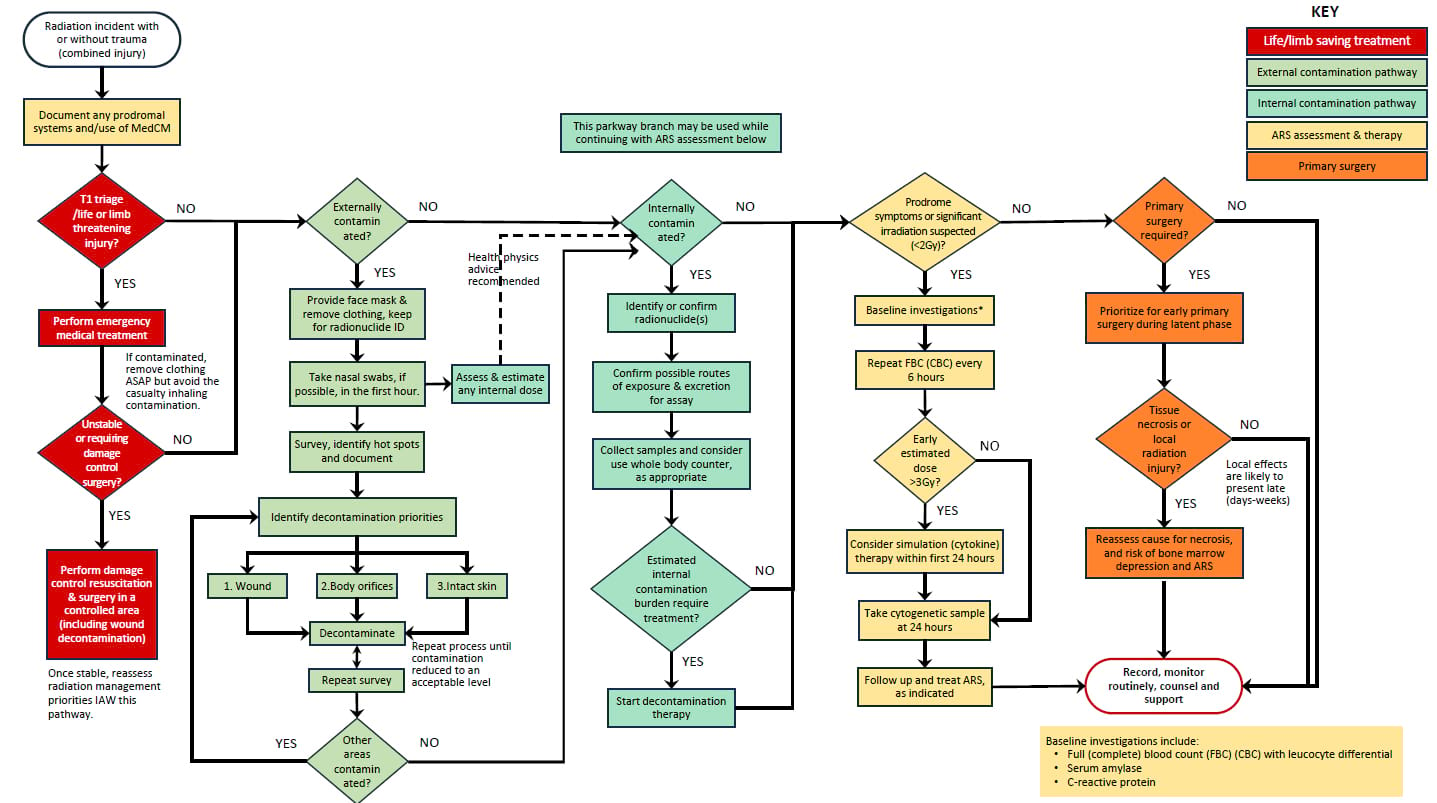 Radiation Casualty Care Pathway