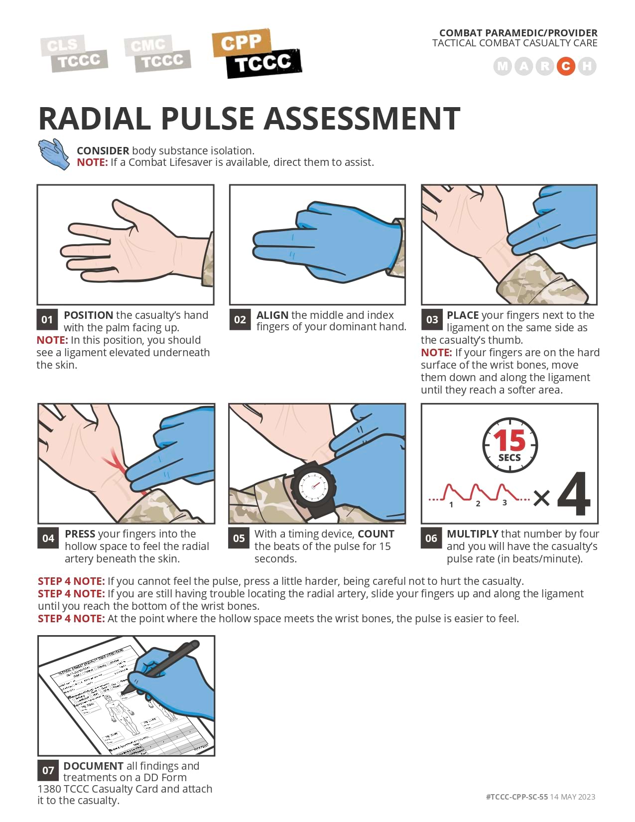 Pulse Assessment, cpp, page 2