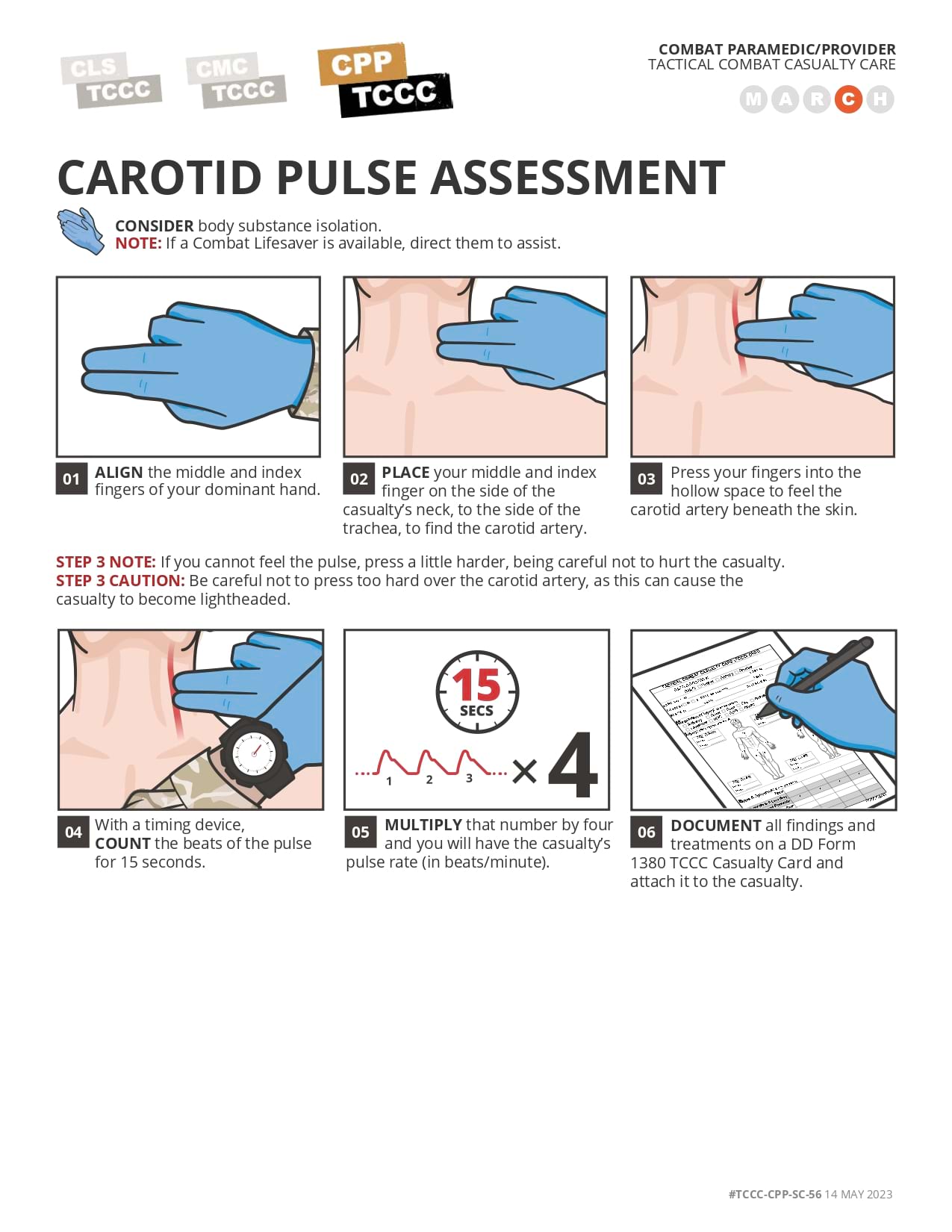 Pulse Assessment, cpp, page 3