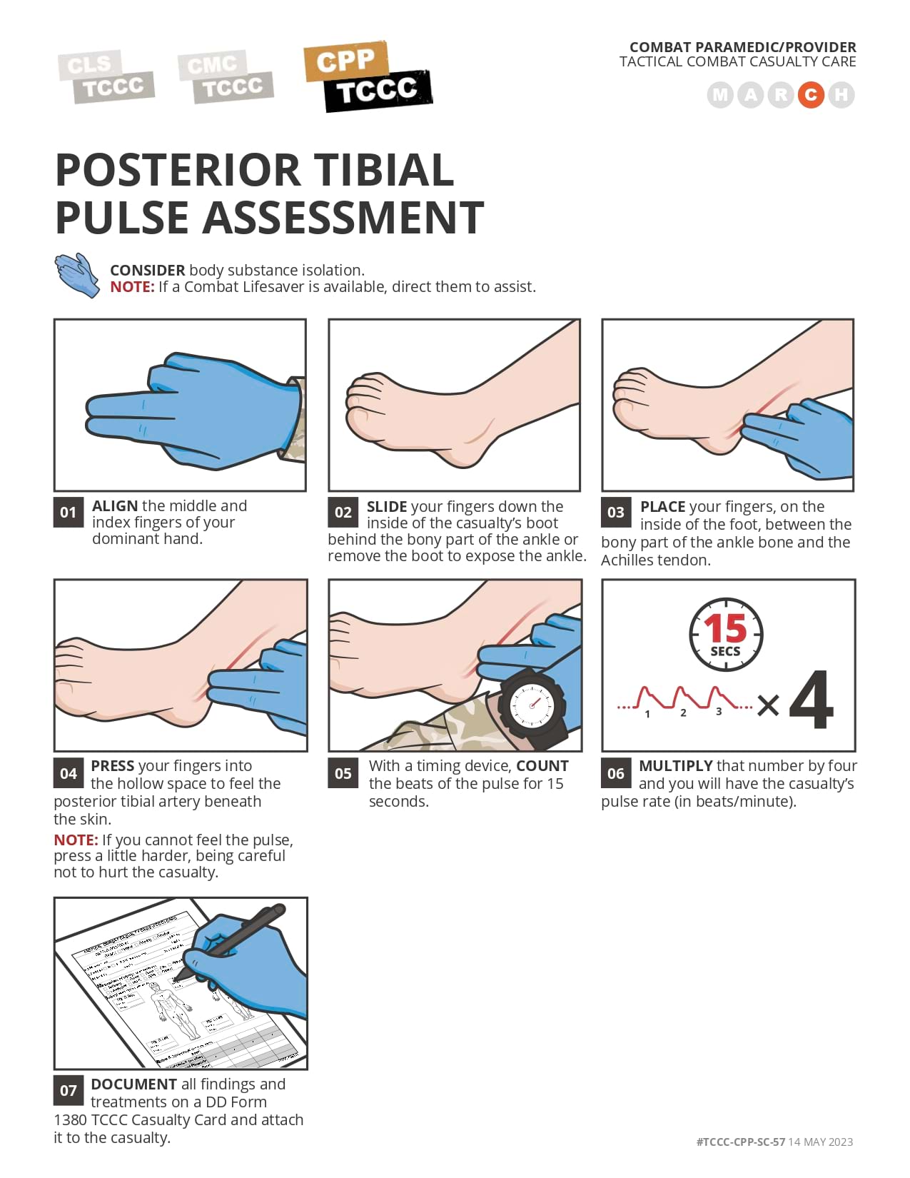 Pulse Assessment, cpp, page 4