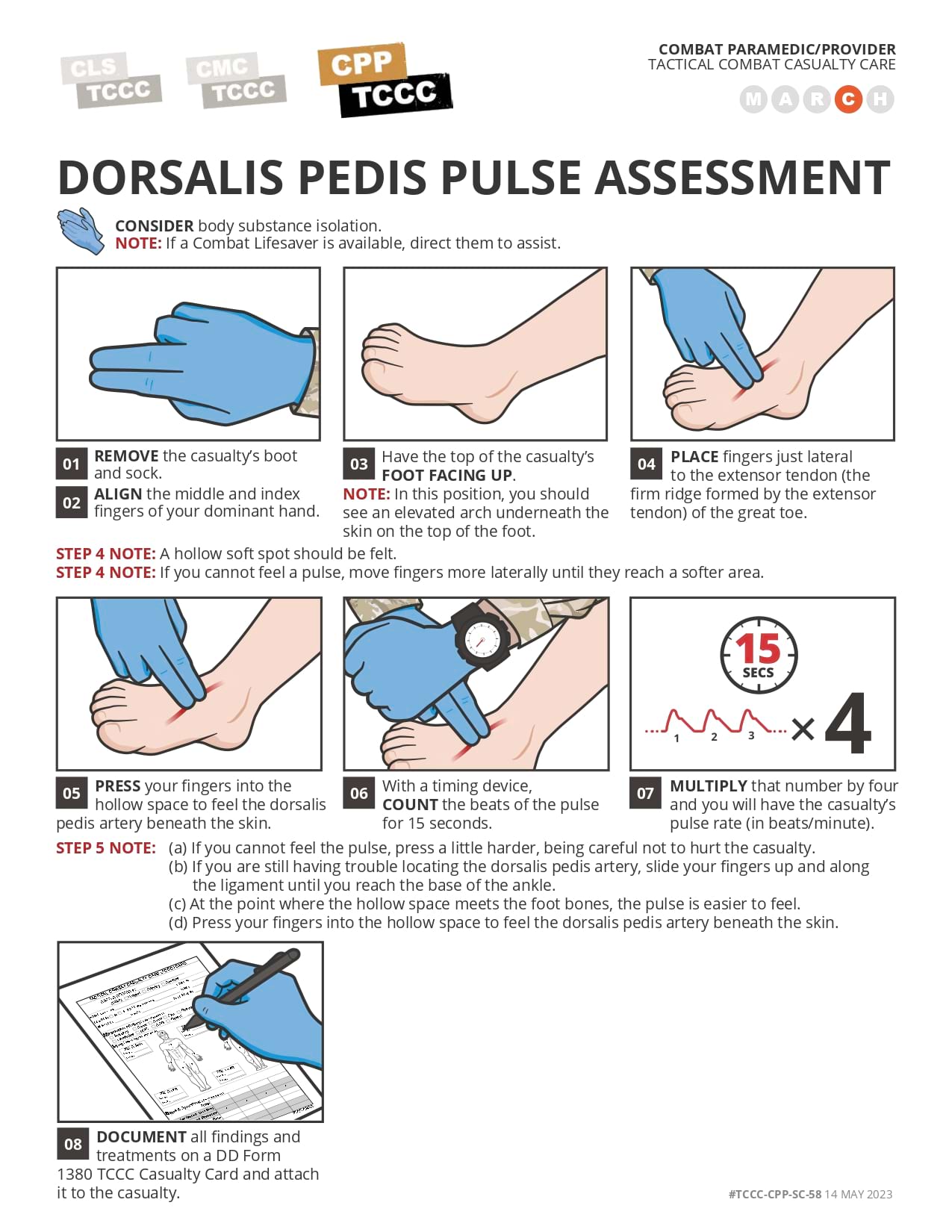 Pulse Assessment, cpp, page 5