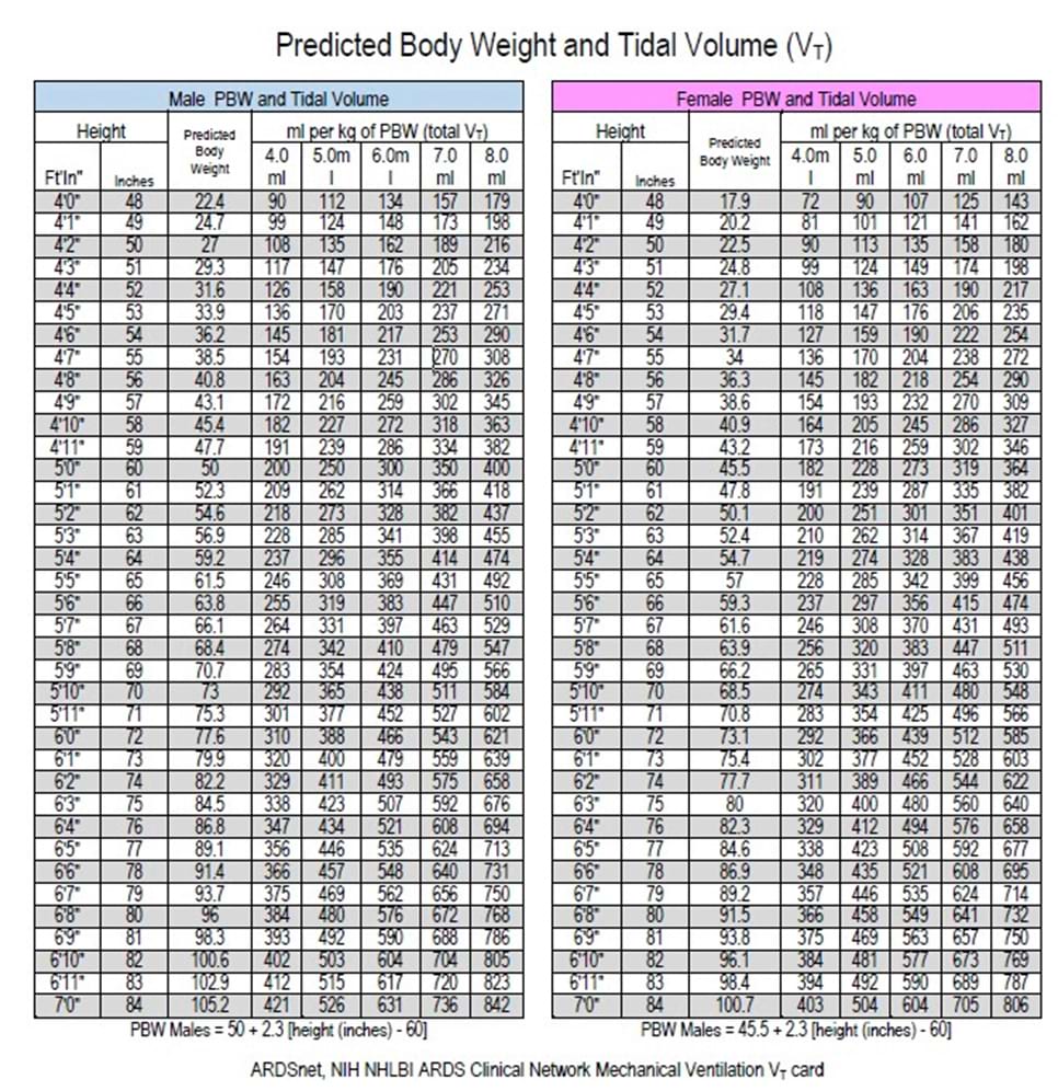 Predicted Body Weight and Tidal Volume