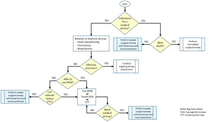 An Awake Patient Surgical Airway Algorithm